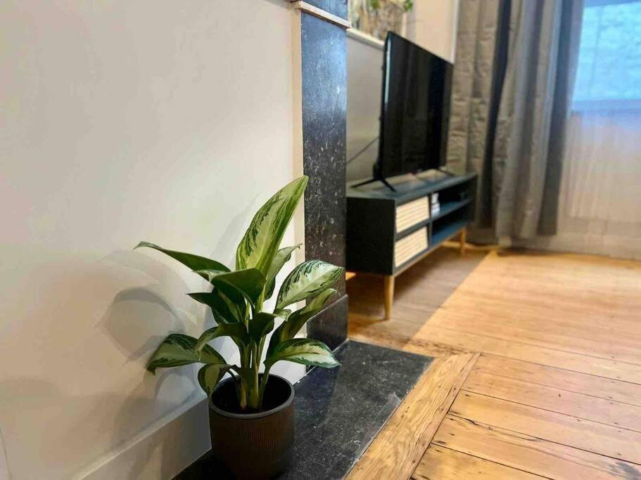 Appartement L'haussmannien-place Du Marche, Marches De Bueren